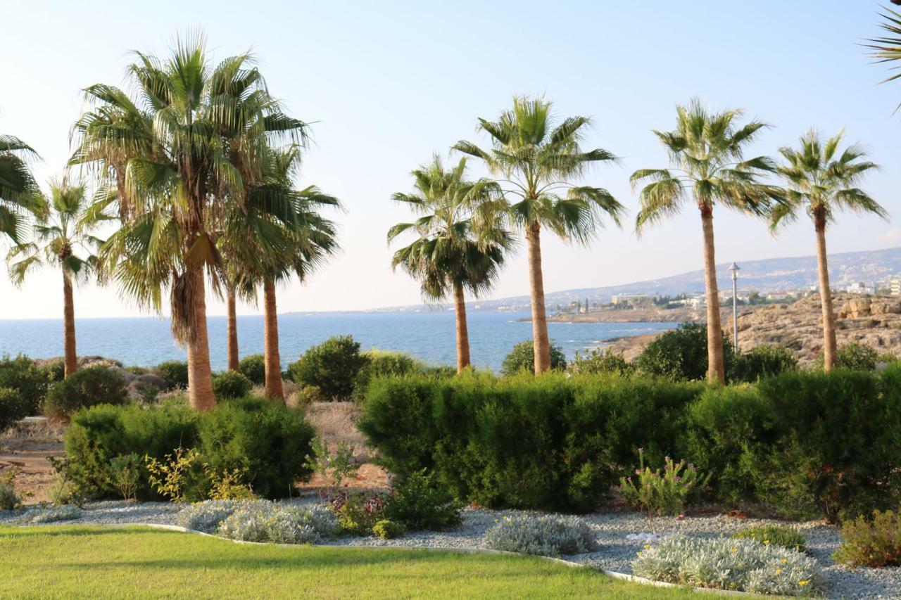 Paphos Yulya Villa By Taimoura מראה חיצוני תמונה